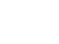 Ledger logo